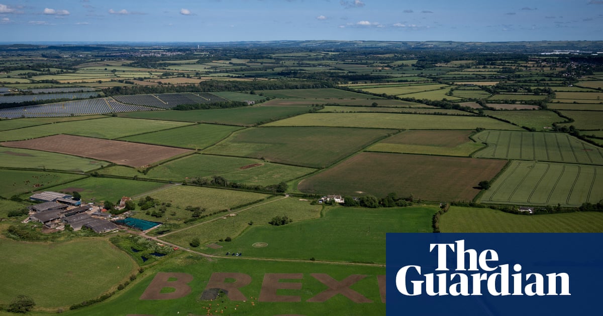 Assault on facts and truth led to Brexit | Letters