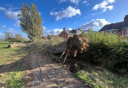 The roots of an upturned tree are seen, behind houses.