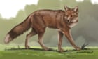 Fox bones at ancient burial site suggest animal may have been kept as pet