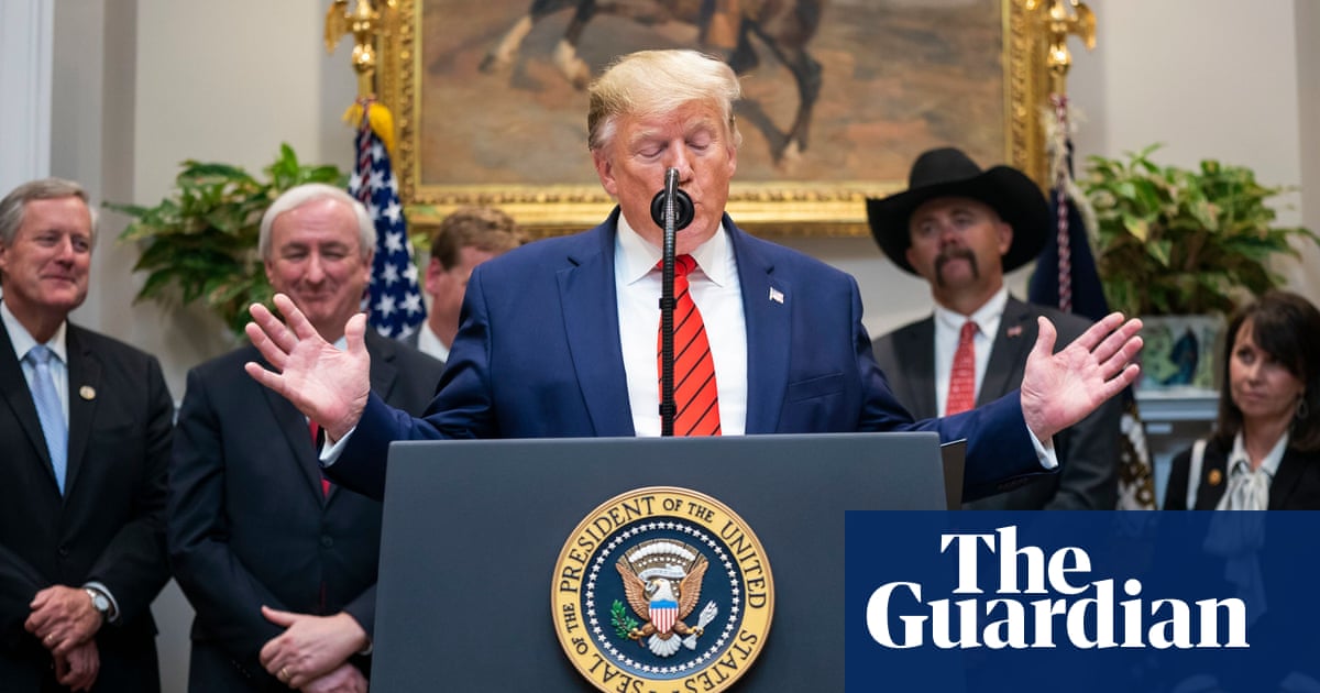 Donald Trump says Kurds ‘didn’t help us with Normandy’ – video