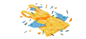 fish around a bag illustration
