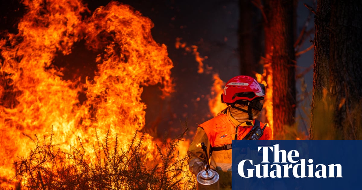France confronts arson problem after devastating summer of wildfires