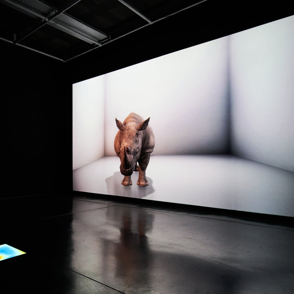 And Say The Animal Responded Review Artists Make A Fierce Point