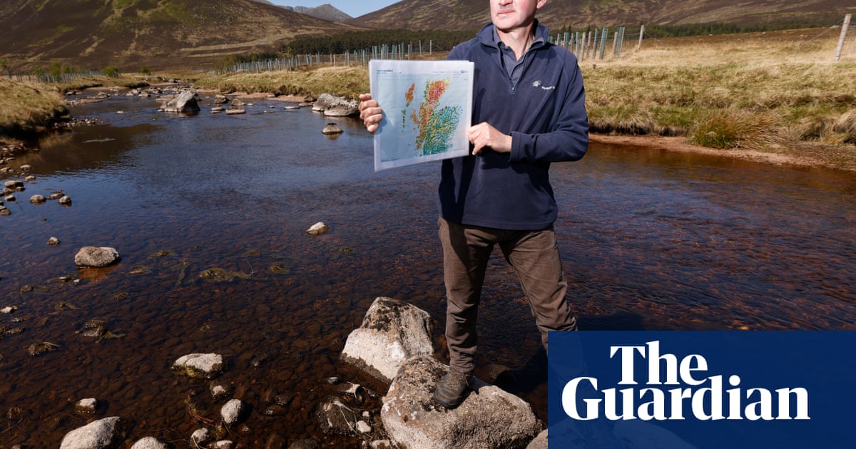 They are a species on the brink': can trees save the salmon in Scotland's River Dee?
