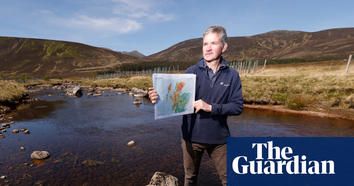 ‘They are a species on the brink’: can trees save the salmon in Scotland’s River Dee?