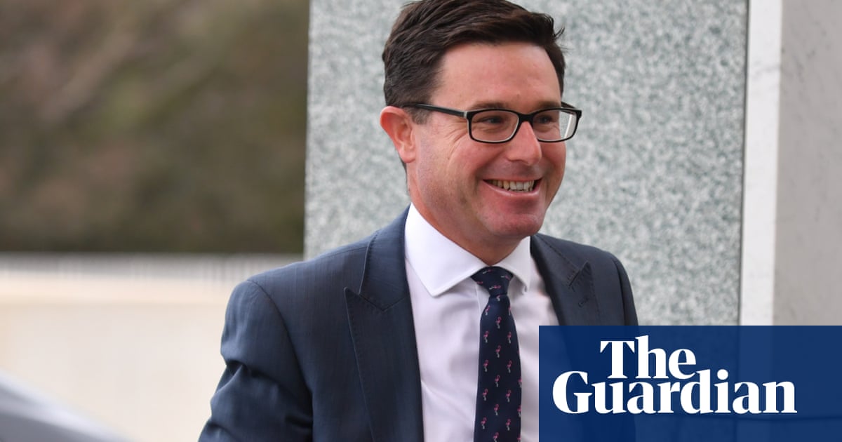 David Littleproud elected new Nationals leader with Perin Davey as deputy