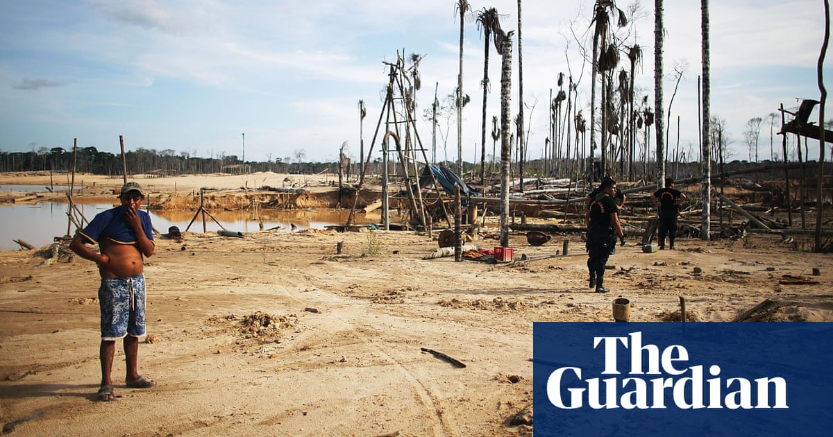 Gold Mining In Peru Forests Razed Millions Lost Virgins Auctioned Peru The Guardian