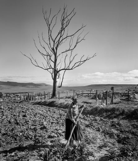 Black and white pic of woman tilling ground