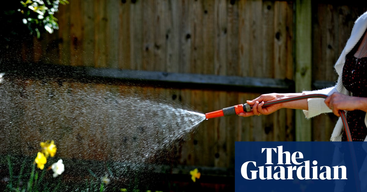 Hosepipe ban introduced by South East Water as heatwave causes surge in demand