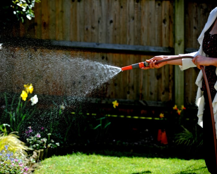 Hosepipe ban introduced by South East Water as heatwave causes surge in demand