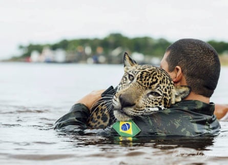 A Brazilian soldier swims in the Negro river holding Jiquitaia, a two-year-old jaguar that was adopted by the military command of the Amazon