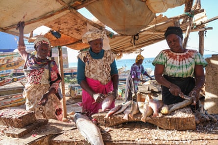 Three women kneel under a canopy with a row of fish in front of them. Another woman can be seen behind them. Boats and the sea can be seen in the background. Two of the women scrape scales from the fish.