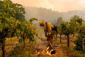 Firefighters work on a vineyard to contain the Glass fire, which tore through the Napa region this summer