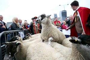 The Worshipful Company of Woolmen are allowed to drive sheep across London Bridge