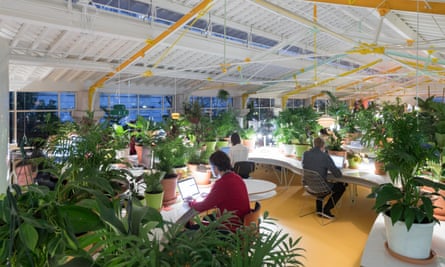 Tech businesses commune with their ‘inner lotus-eater’ at Second Home, a shared workspace created in Lisbon by Rohan Silva and Sam Aldenton.