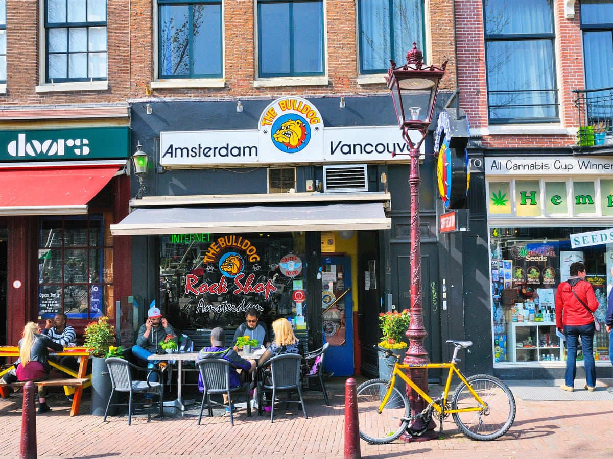 In Amsterdam, Getting High At Coffee Shops May Soon Be For Locals Only - The New York Times