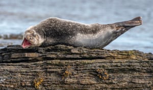 Having a laugh, Caithness, Scotland
