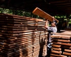 Can wood be good? Green forestry standards demystified, from FSC to SFI