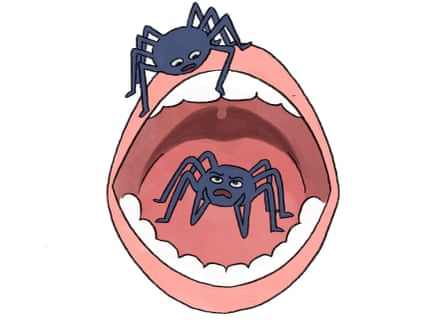Spiders in a mouth