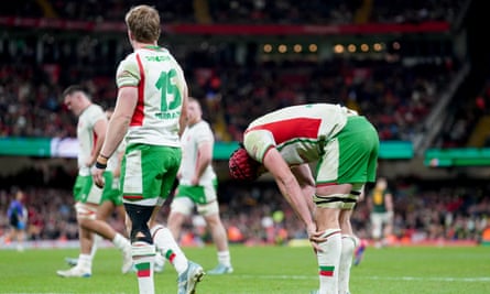 Wales’ James Botham doubles over to show his dejection after his side conceded a try during the Autumn International match