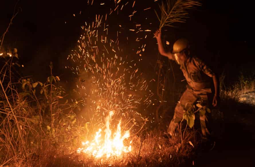 Forest officials battle with flames in an area known to be an elephant corridor.