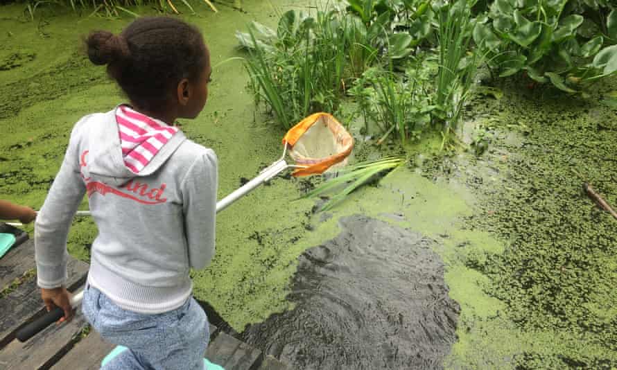 Pond dipping with the Wildlife Trust.