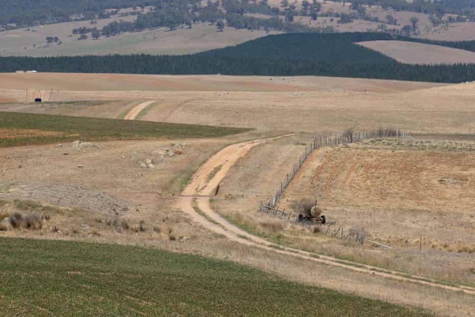 Jam Land property near Delegate in southern NSW, which was the subject of an investigation over illegal spraying of native grasslands.