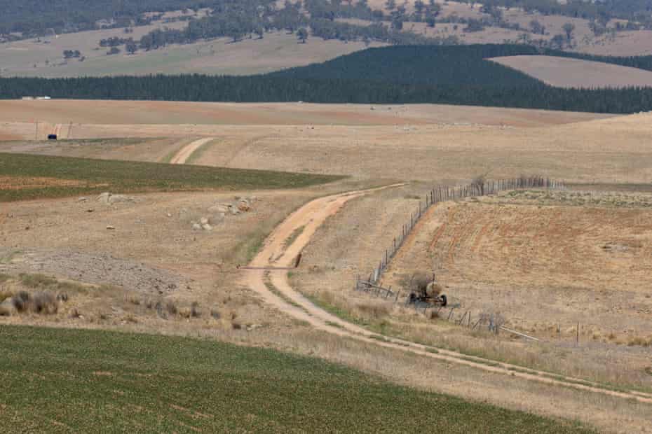Jam Land property near Delegate in southern NSW, which was the subject of an investigation over illegal spraying of native grasslands.