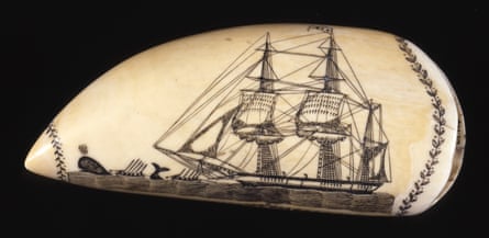 Scrimshandered … sperm whale tooth engraving of the Phoenix of London by Burdett Phoenix, 1820s.