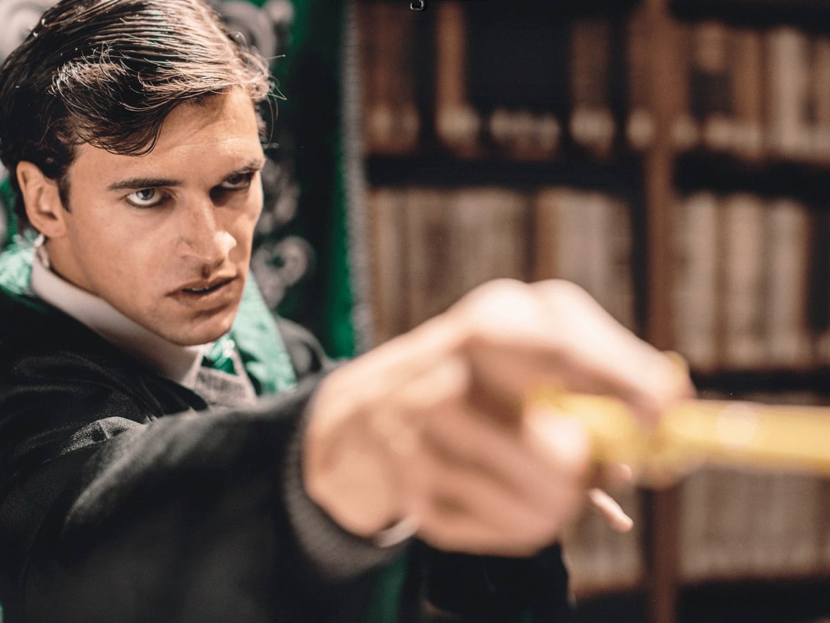 Tom Riddle Hand Some