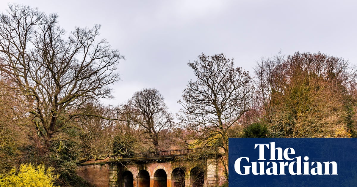 Country diary 1950: Possibly the only dragonfly left over the pond