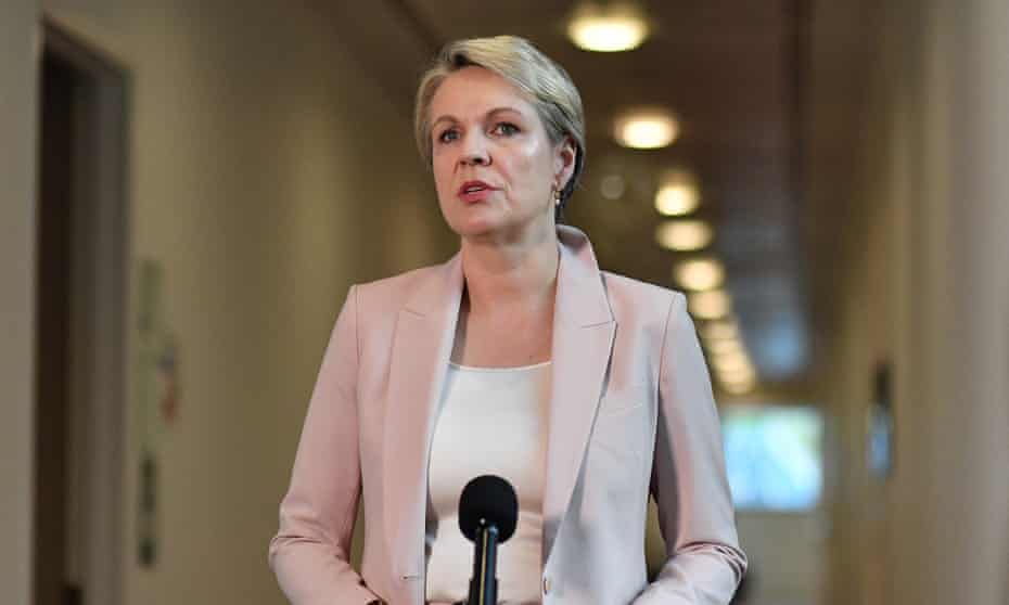 Tanya Plibersek