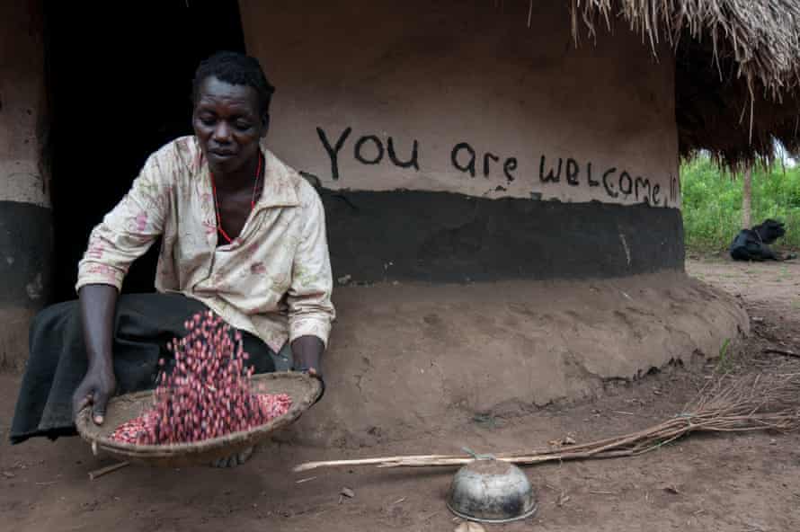 A farmer prepares beans in Nwoya, near Gulu, northern Uganda