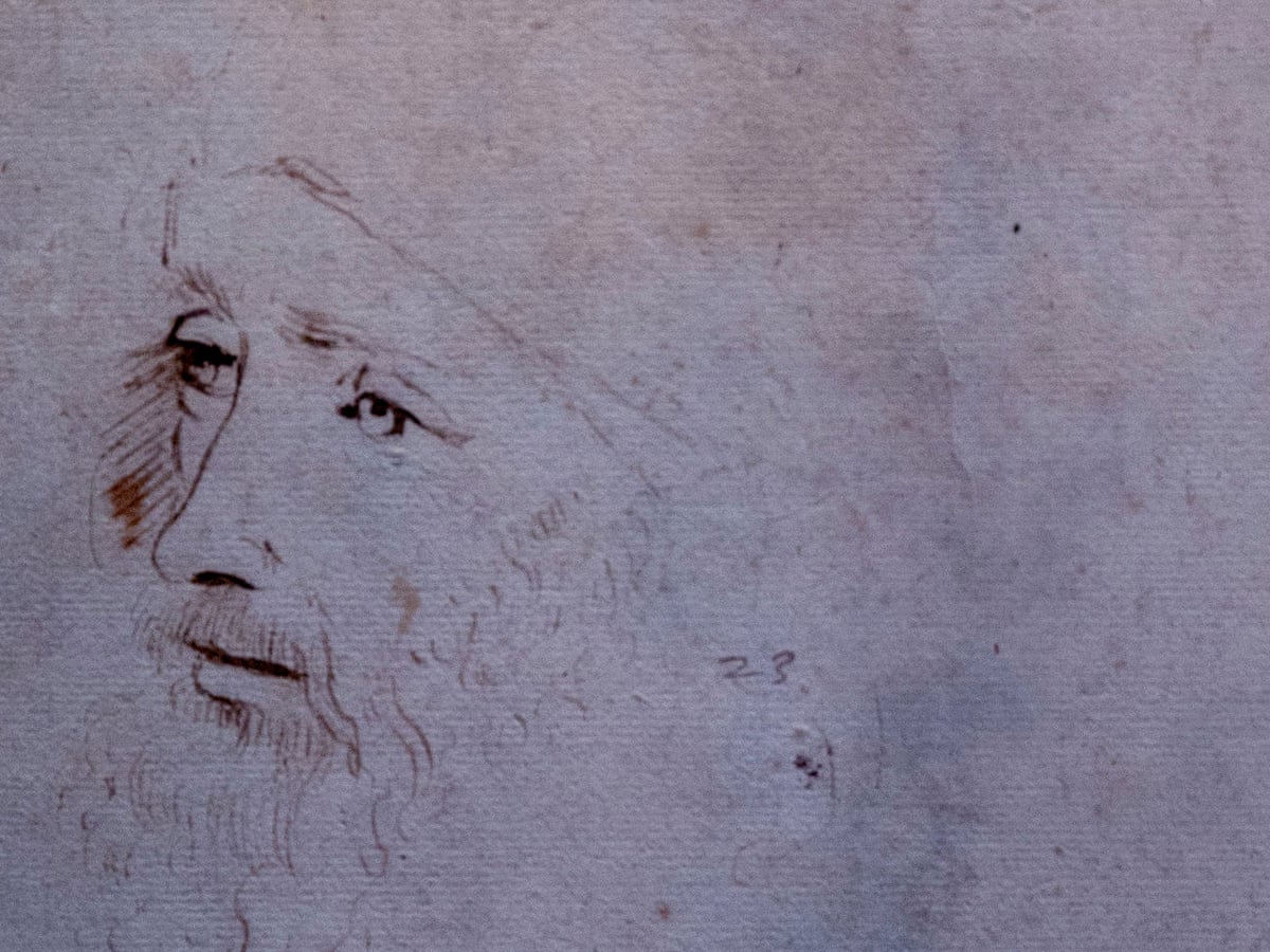 Newly Identified Sketch Of Leonardo Da Vinci To Go On Display In London Leonardo Da Vinci The Guardian