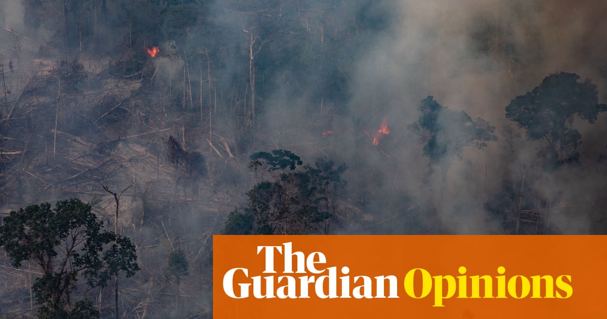 Fires are devouring the Amazon. And Jair Bolsonaro is to blame
