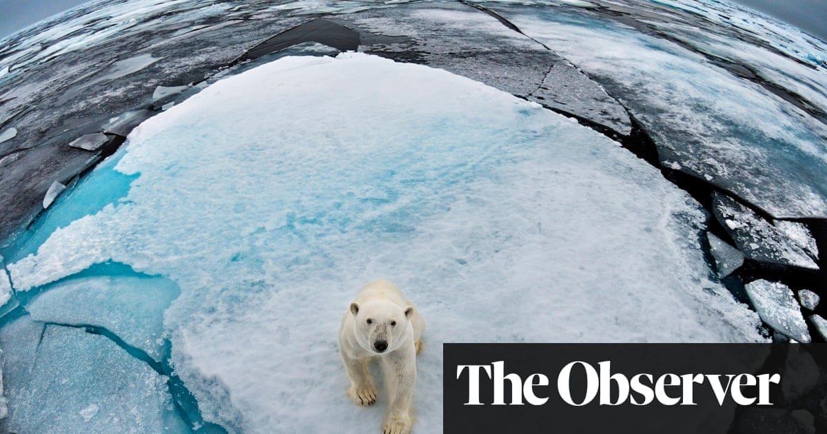 Thawing Arctic is turning oceans into graveyards | Sea ice | The Guardian