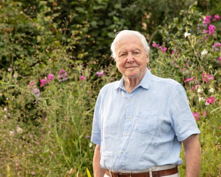 David Attenborough