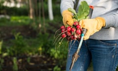 Good enough to eat … advice from other gardeners is invaluable.