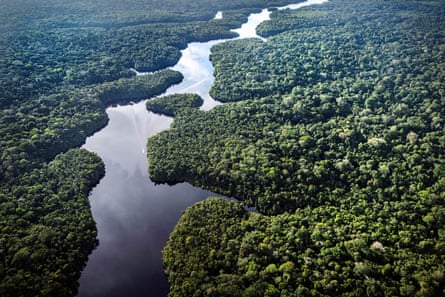 The Curuá River, an Amazon tributary, flows through Caxiuanã national forest in Brazil.