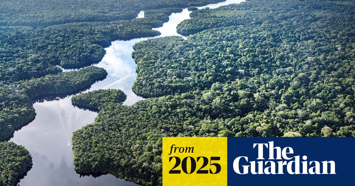 Big trees in Amazon more climate-resistant than previously believed