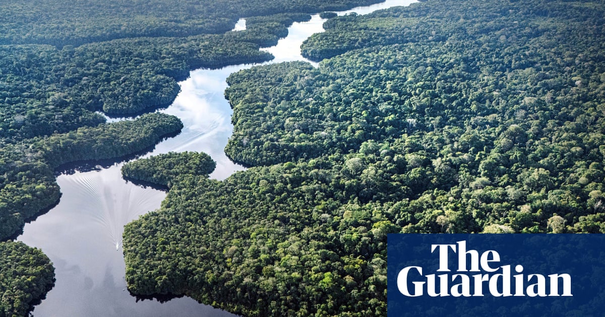 Big trees in Amazon more climate-resistant than previously believed