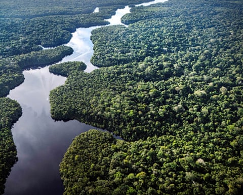 Uma vista aérea da floresta amazônica, repleta de árvores, e do rio Curuá serpenteando por ela