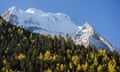 Snowy peak of mountain with forest in foreground.
