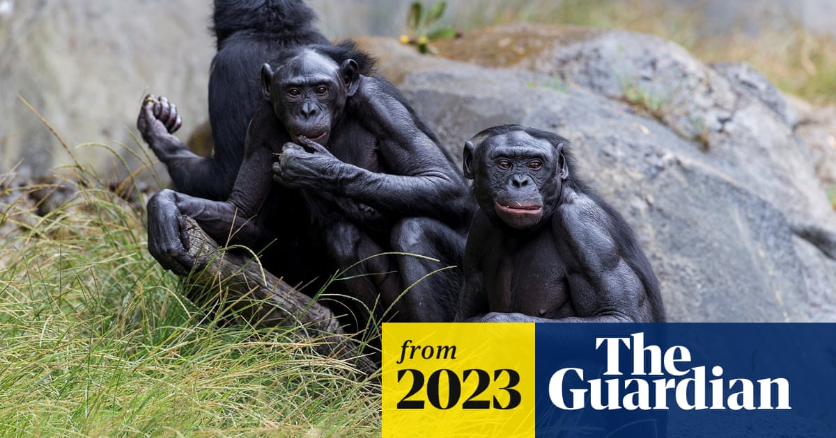 www.theguardian.com