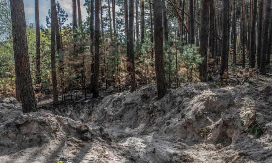 An excavated, empty site of a mass grave in a clearing surrounded by tall trees