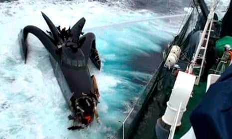 Despite a US court ruling that conservationists cannot attack Japanese whaling boats, Sea Shepherd says it will not stop its annual protection campaign in the Southern Ocean. 