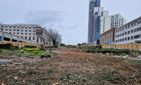 The area where more than 100 trees were cut down in Plymouth despite local opposition