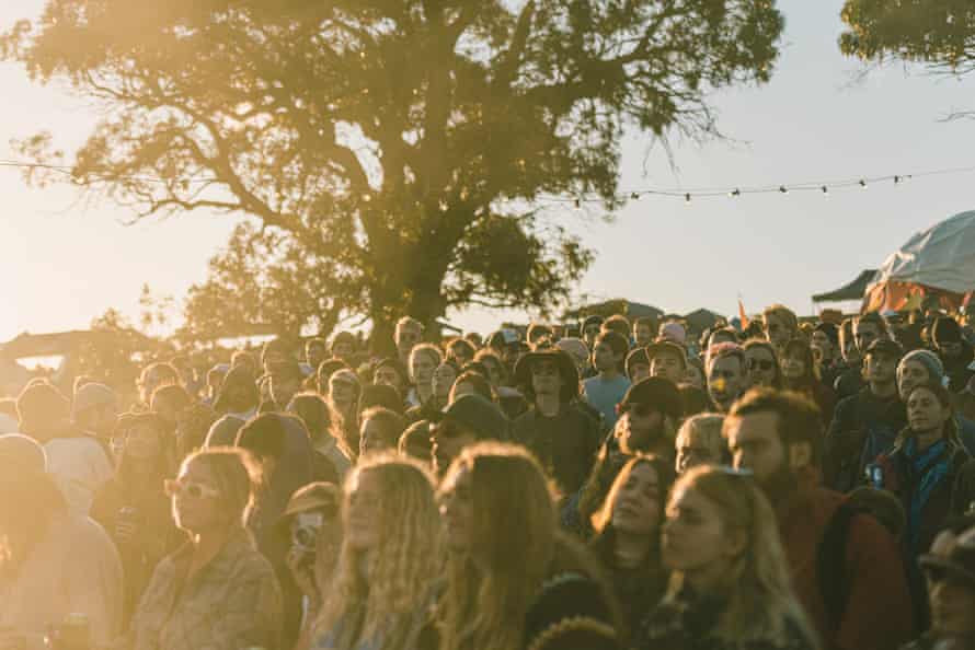 A crowd near a tree at the Meadow festival