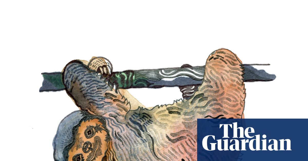 Why do sloths hang upside down and what is time? The kids' quiz