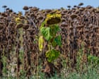 Extreme heat breaks temperature records in central and eastern Europe